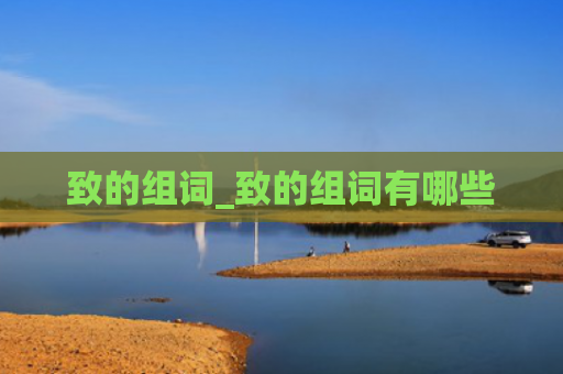 致的组词_致的组词有哪些