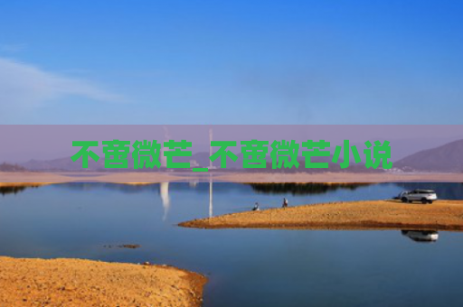 不啻微芒_不啻微芒小说