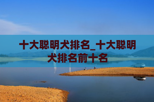 十大聪明犬排名_十大聪明犬排名前十名